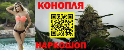 каннабис Кингисепп