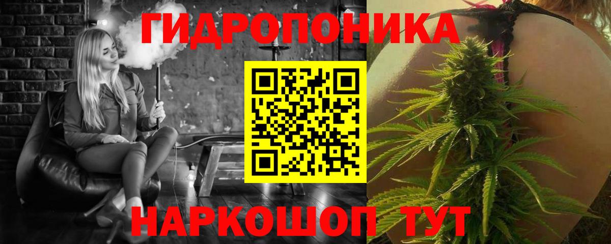 Каннабис семена  Вход с VPN  Марихуана SATIVA & INDICA  Шишки марихуана сатива  Кирово-Чепецк  Марихуана VHQ 